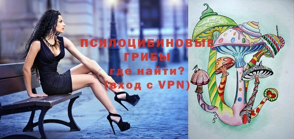шишки Алексеевка
