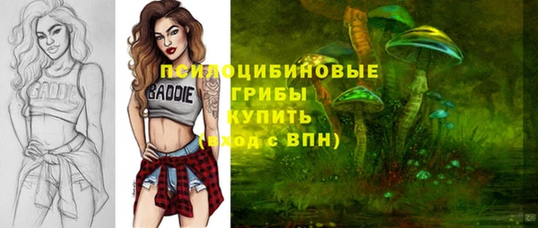 мяу мяу мука Абаза