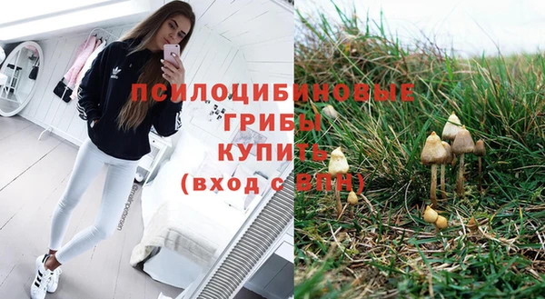 PSILOCYBIN Абдулино