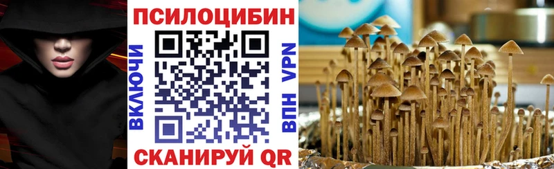 Галлюциногенные грибы Psilocybine cubensis  цены   Агрыз 